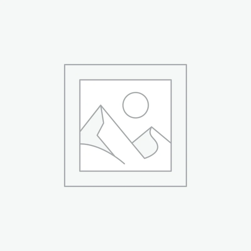 Canva: Empowering Creativity with Easy Design Solutions